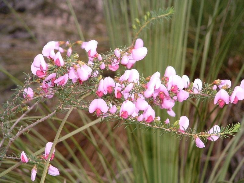 Margaret River WA 6285