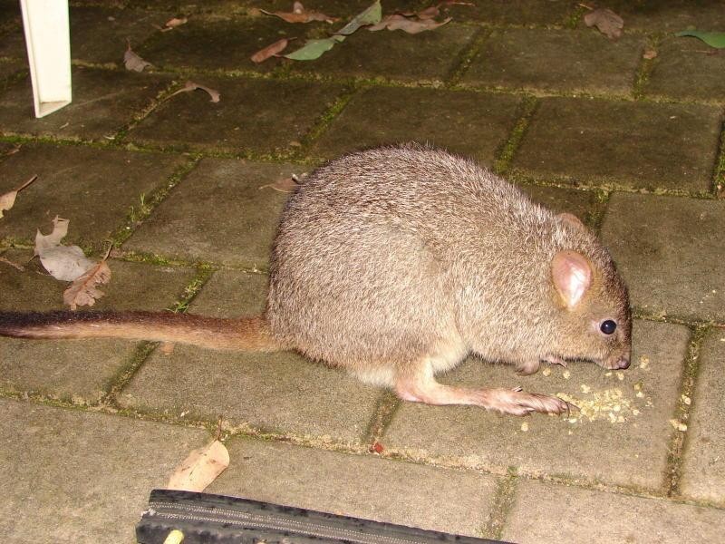 Margaret River WA 6285