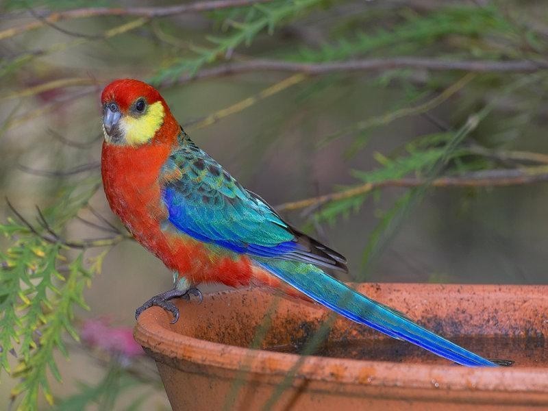 Margaret River WA 6285