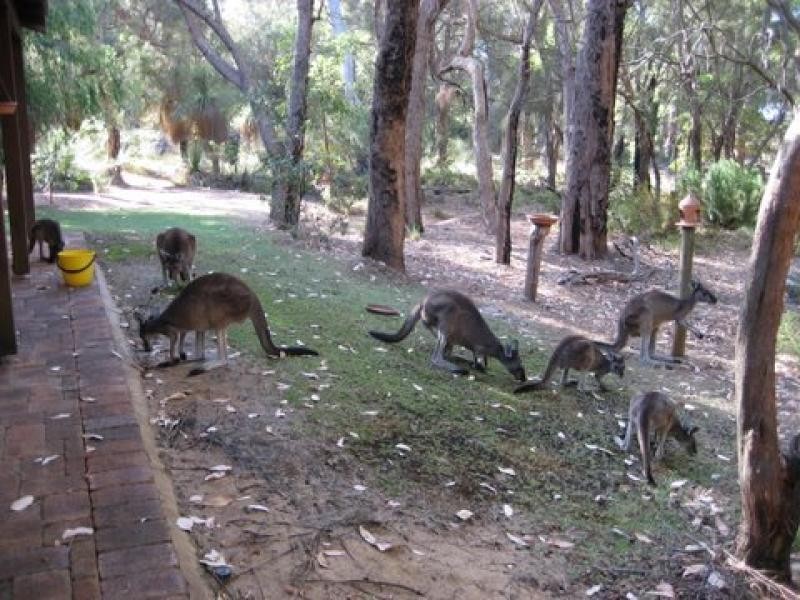 Margaret River WA 6285