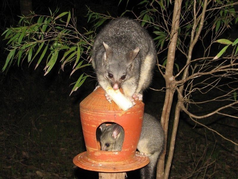 Margaret River WA 6285