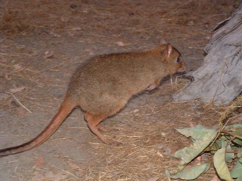 Margaret River WA 6285