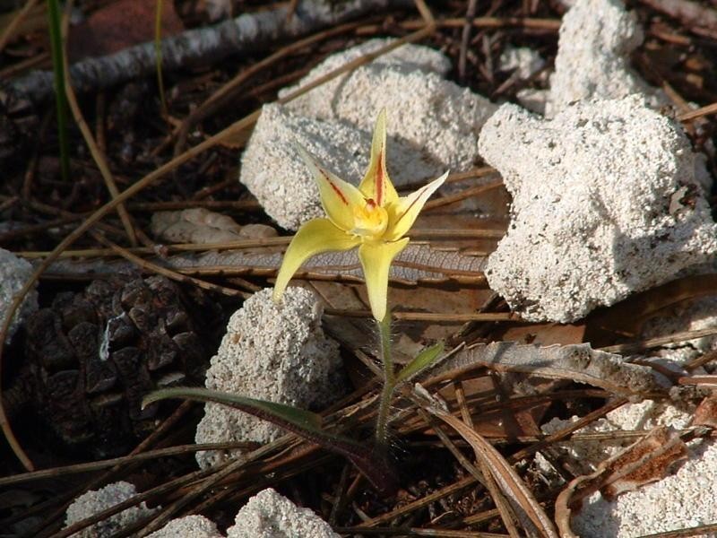 Margaret River WA 6285