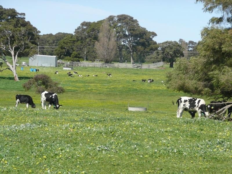 Margaret River WA 6285