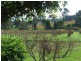 Cowaramup WA 6284