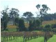 Cowaramup WA 6284