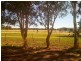 Lot 1021, 329 Serpentine Road, Baldivis WA 6171