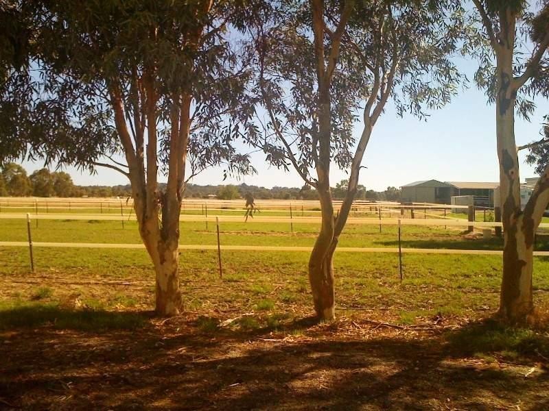 Lot 1021, 329 Serpentine Road, Baldivis WA 6171