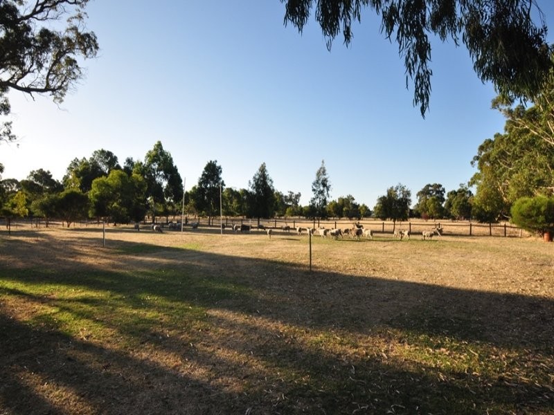 166 Rendezvous Road, Busselton WA 6280