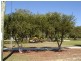 27 William Drive, Busselton WA 6280