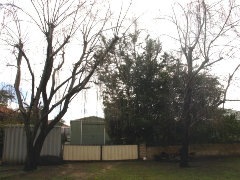 6 Greyteal Place, Busselton WA 6280