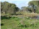 Ibis Sanctuary, Broadwater WA 6280