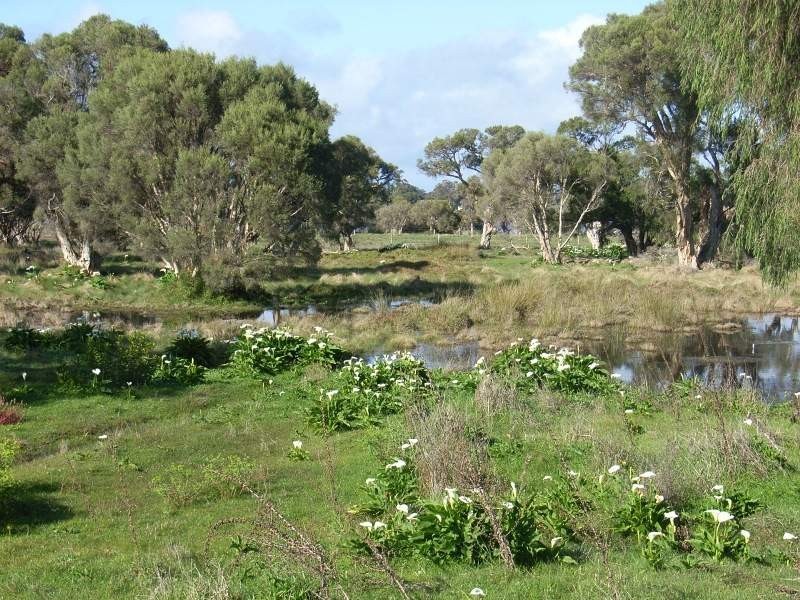 Ibis Sanctuary, Broadwater WA 6280