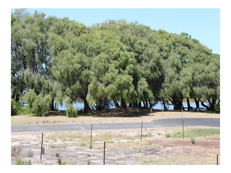 37 Estuary View Drive, Busselton WA 6280