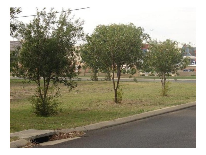 Lot 130 -133 Cook Street, Busselton WA 6280