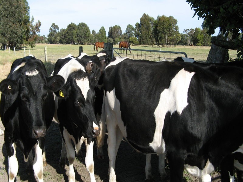 64 Espinos Road, Busselton WA 6280