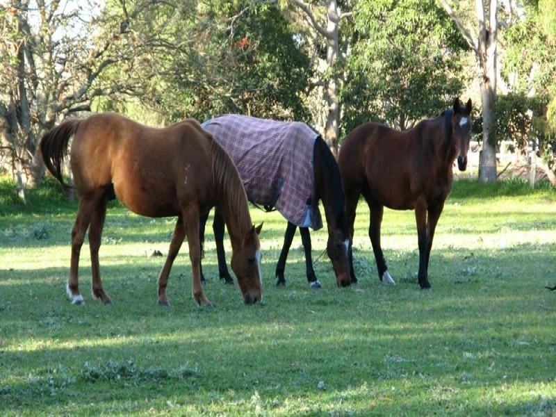 64 Espinos Road, Busselton WA 6280