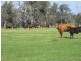 Loc 2001-2004 Tutunup, Tutunup WA 6280