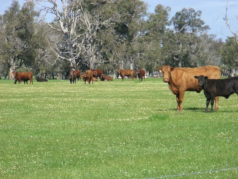 Loc 2001-2004 Tutunup, Tutunup WA 6280
