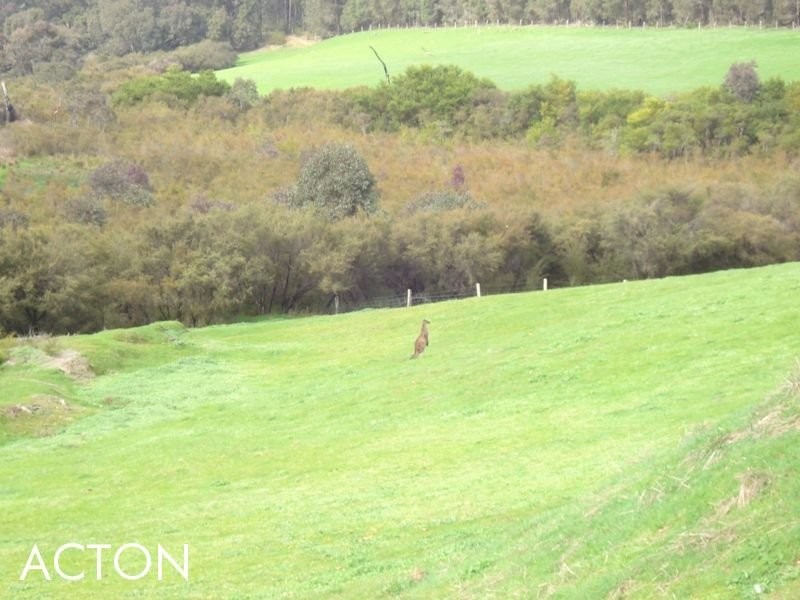 Lot 9650 Vasse Highway, Nannup WA 6275