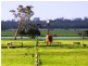 Boyanup WA 6237