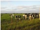 Boyanup WA 6237
