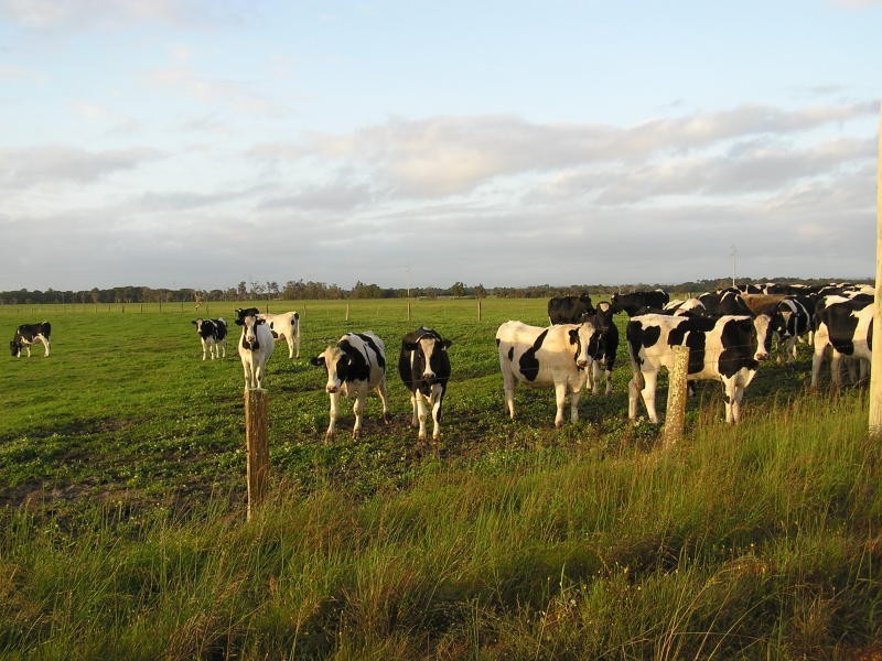 Boyanup WA 6237