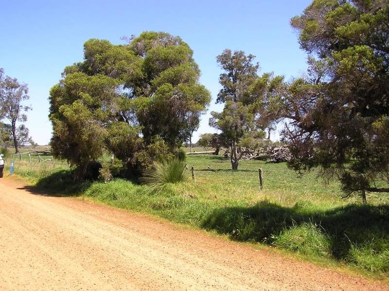 Boyanup WA 6237