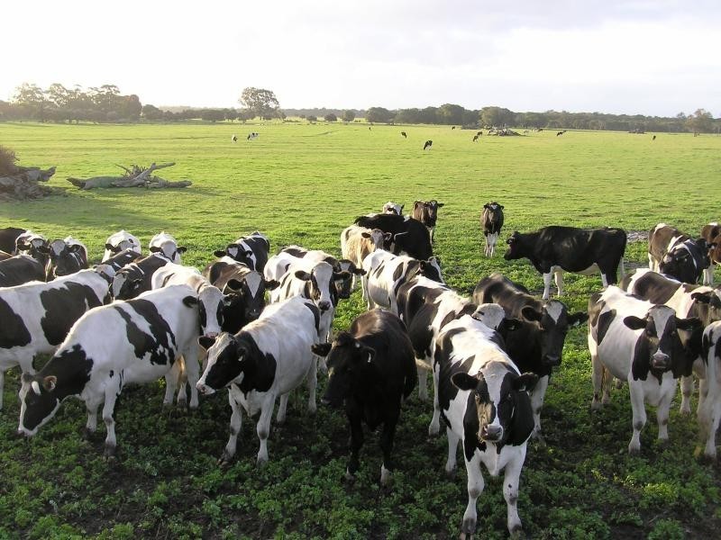 Boyanup WA 6237