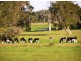 4030 Jalbarragup Road, Walsall WA 6280
