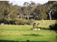 4030 Jalbarragup Road, Walsall WA 6280
