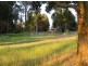 4030 Jalbarragup Road, Walsall WA 6280