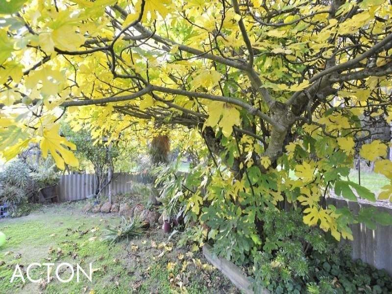 107 Walsall Road, Busselton WA 6280