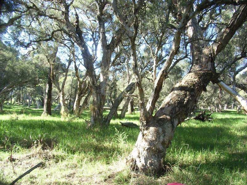 663 Rendezvous Road, Vasse WA 6280