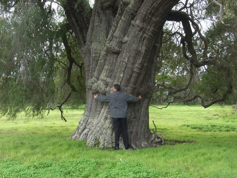 663 Rendezvous Road, Vasse WA 6280