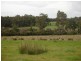 Lot 208 Bussell Highway, Metricup WA 6280