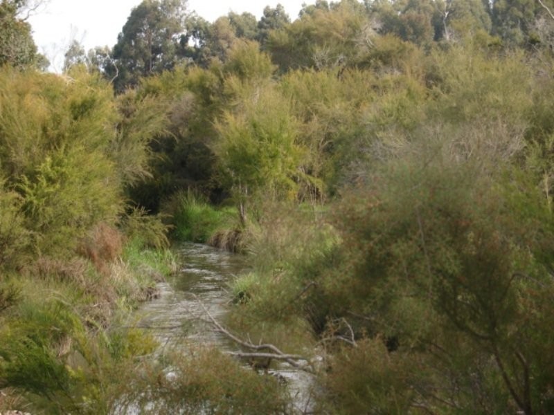 Lot 208 Bussell Highway, Metricup WA 6280