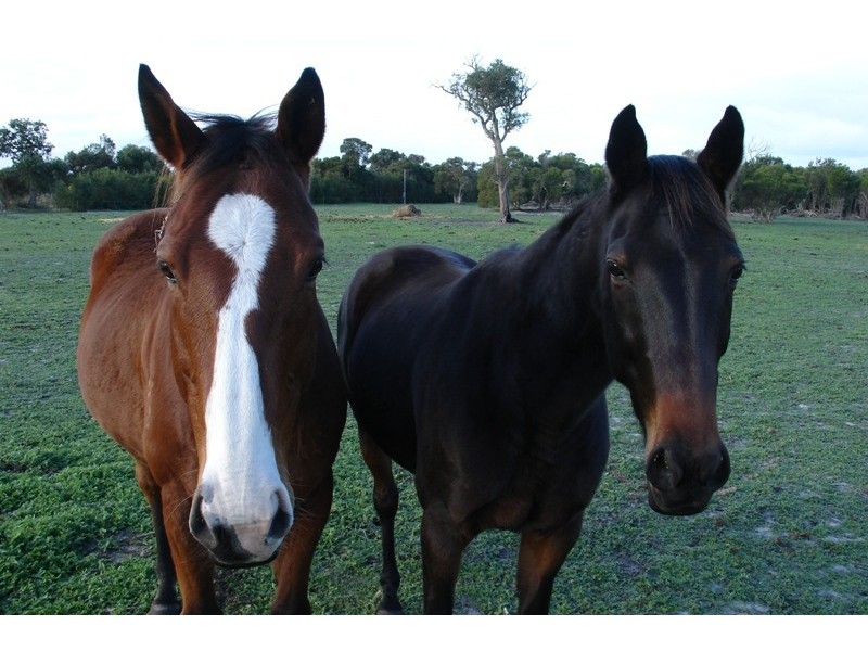 75 Plantation Road, Busselton WA 6280