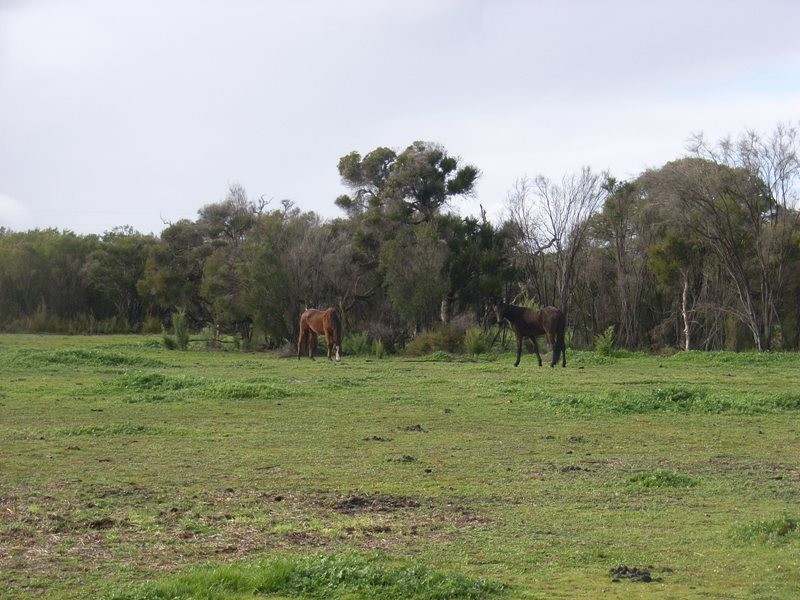 75 Plantation Road, Busselton WA 6280