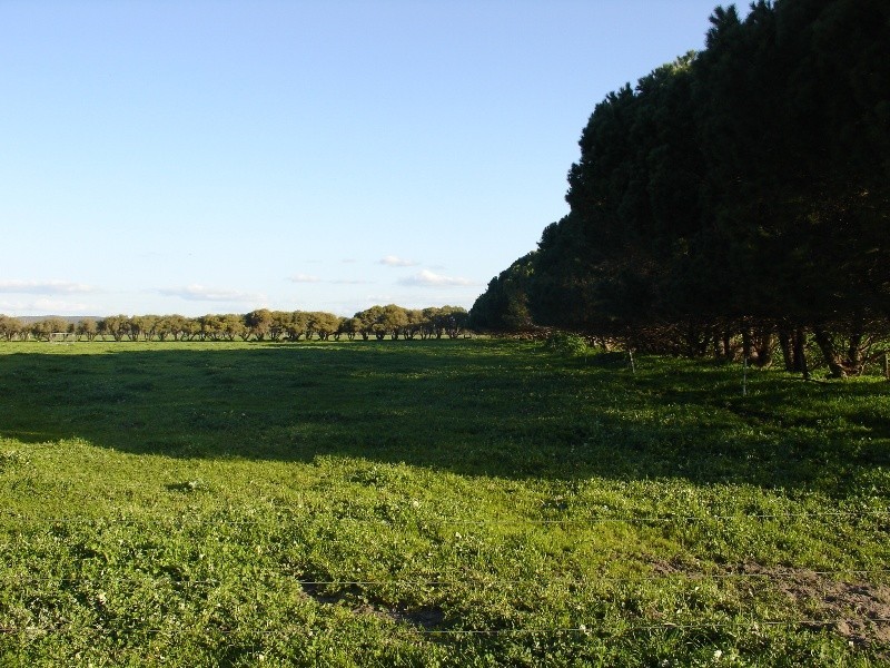 Lot 667 & Lot 1426 Yalyalup Road, Yoongarillup WA 6280