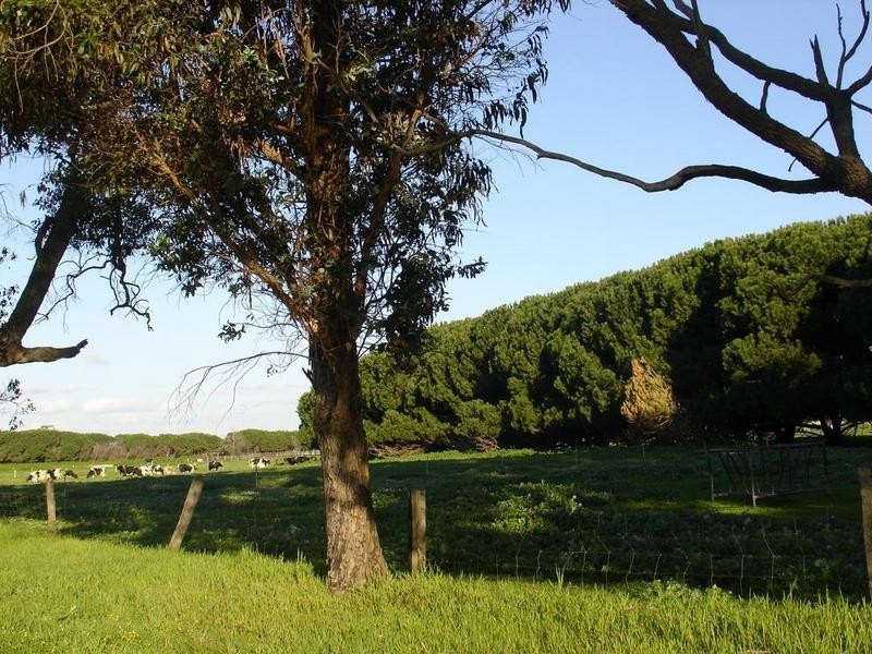 Lot 667 & Lot 1426 Yalyalup Road, Yoongarillup WA 6280