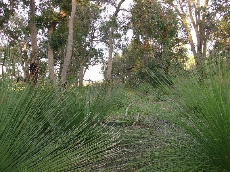421 Oates Road, Tutunup WA 6280