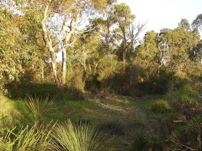 421 Oates Road, Tutunup WA 6280