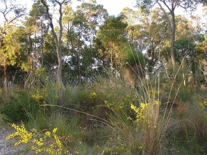 421 Oates Road, Tutunup WA 6280