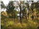 421 Oates Road, Tutunup WA 6280