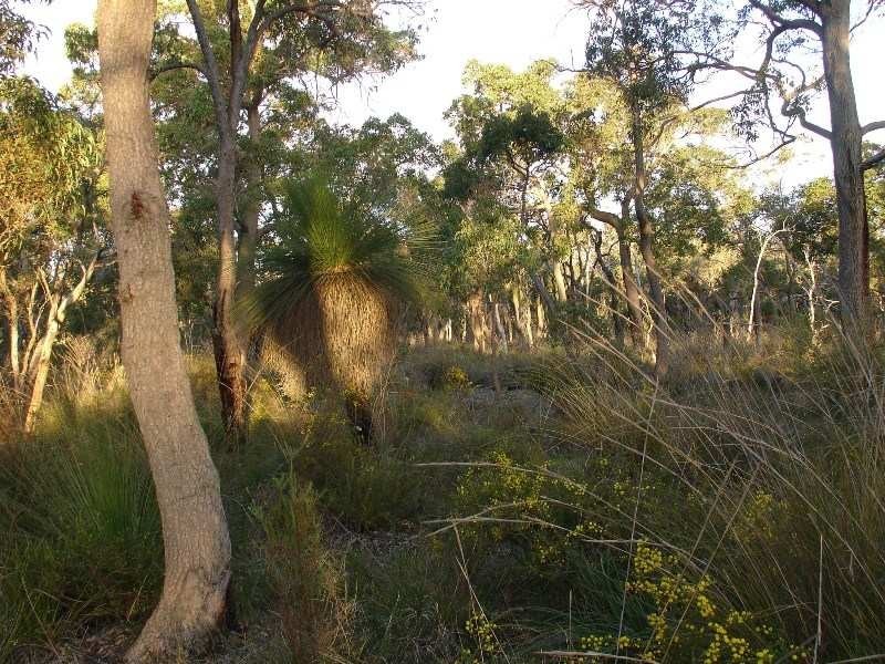 421 Oates Road, Tutunup WA 6280