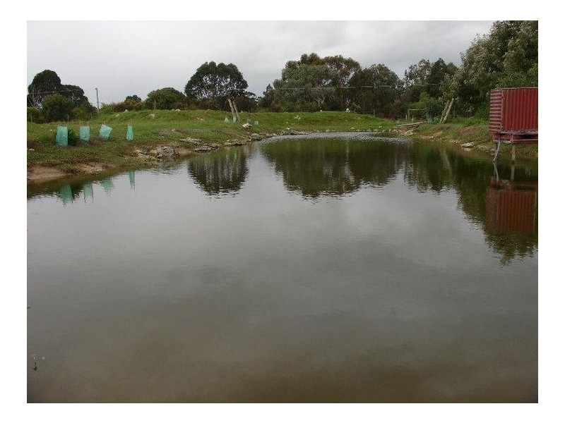 3 Paperbark Way, Vasse WA 6280