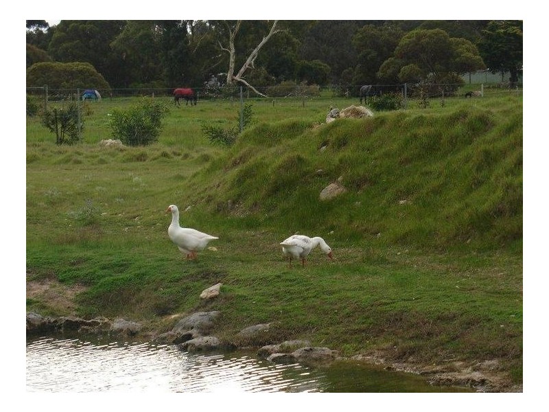 3 Paperbark Way, Vasse WA 6280