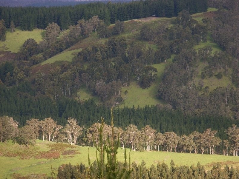 1065 Bridge Road, Balingup WA 6253