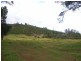 1065 Bridge Road, Balingup WA 6253